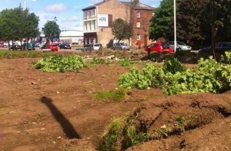 davies churned up land