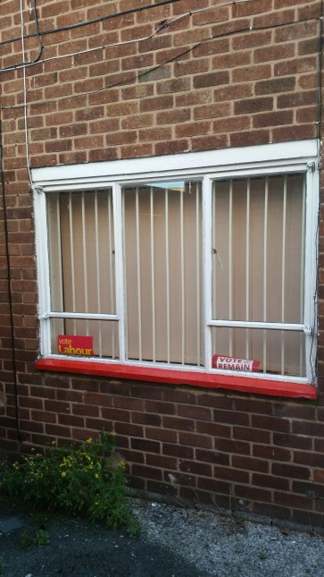 Angela Eagle Office Window
