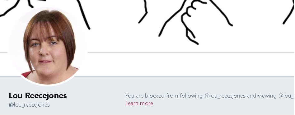 blocked by councillor louise reecejones on twitter